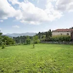 Agrifoglio - Palazzo Ravaschieri *