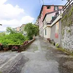 Agrifoglio - Palazzo Ravaschieri