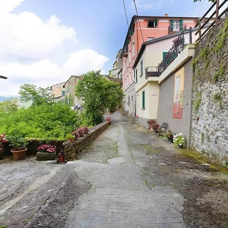 Agrifoglio - Palazzo Ravaschieri