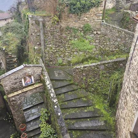 Agrifoglio - Palazzo Ravaschieri