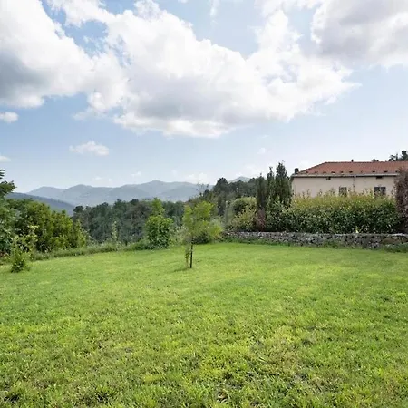 Agrifoglio - Palazzo Ravaschieri *