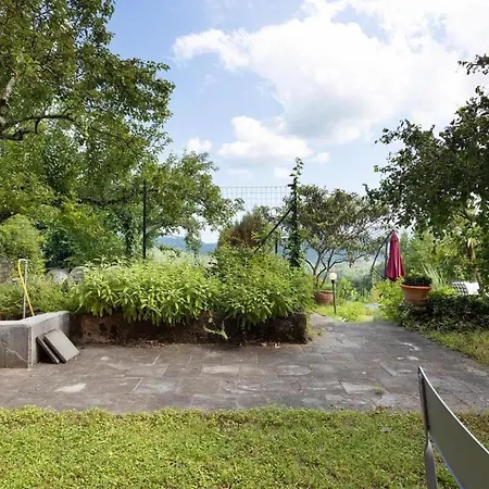 Agrifoglio - Palazzo Ravaschieri Bracelli