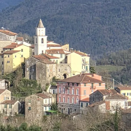 Agrifoglio - Palazzo Ravaschieri Bracelli