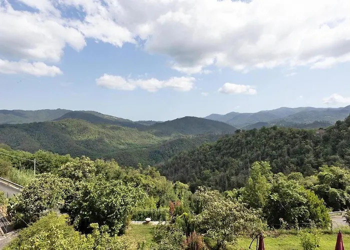 Agrifoglio - Palazzo Ravaschieri Bracelli