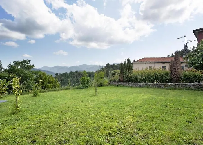 Agrifoglio - Palazzo Ravaschieri *