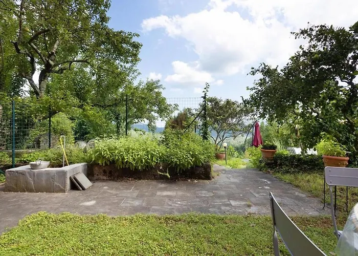 Agrifoglio - Palazzo Ravaschieri Bracelli