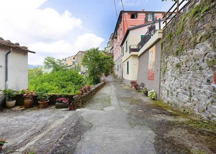 Agrifoglio - Palazzo Ravaschieri